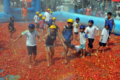 2012년도 토마토축제 의 사진