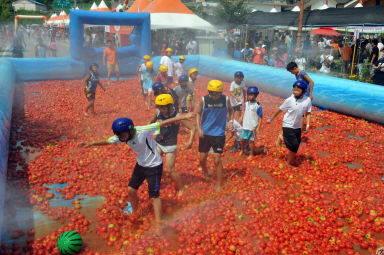 2012년도 토마토축제 의 사진