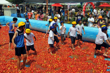 2012년도 토마토축제 의 사진