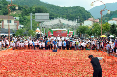 2012년도 토마토축제 의 사진