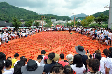 2012년도 토마토축제 의 사진