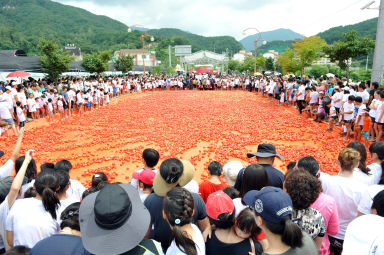 2012년도 토마토축제 의 사진