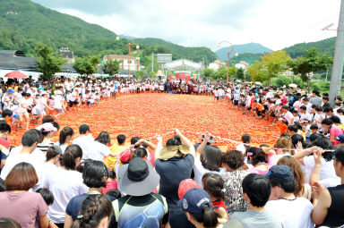 2012년도 토마토축제 의 사진