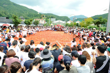 2012년도 토마토축제 의 사진