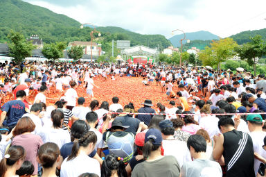 2012년도 토마토축제 의 사진