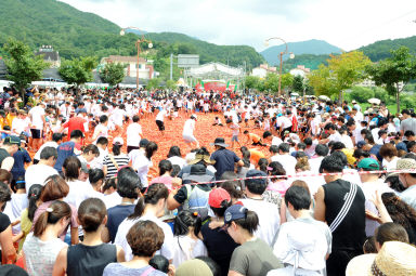 2012년도 토마토축제 의 사진