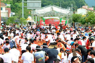 2012년도 토마토축제 의 사진