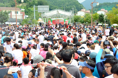 2012년도 토마토축제 의 사진