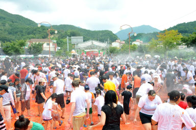 2012년도 토마토축제 의 사진