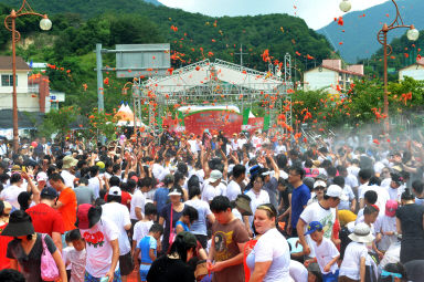 2012년도 토마토축제 의 사진