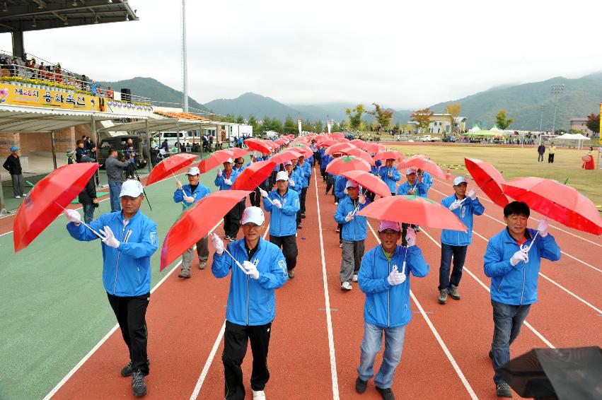 2012년 제28회 용화축전 개회식 의 사진