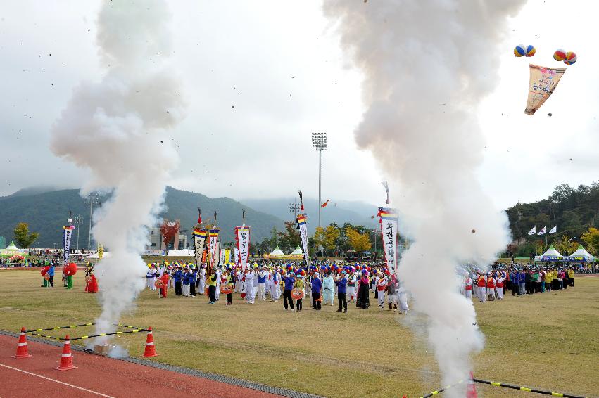 2012년 제28회 용화축전 개회식 의 사진