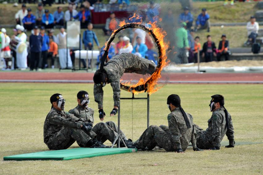 2012년 제28회 용화축전 개회식 의 사진