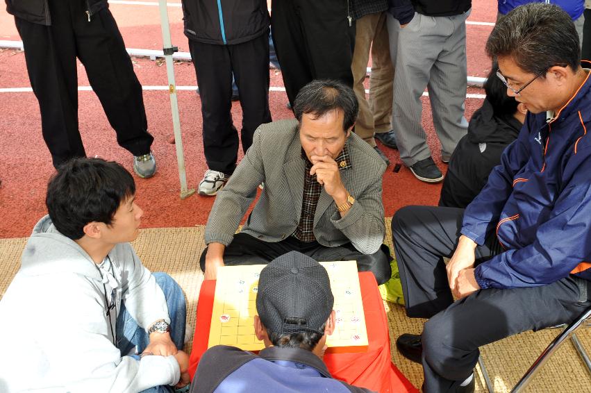 2012년 제28회 용화축전 개회식 의 사진