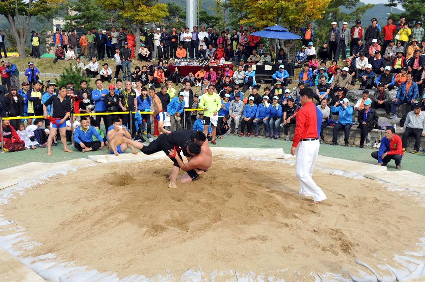 2012년 제28회 용화축전 개회식 의 사진