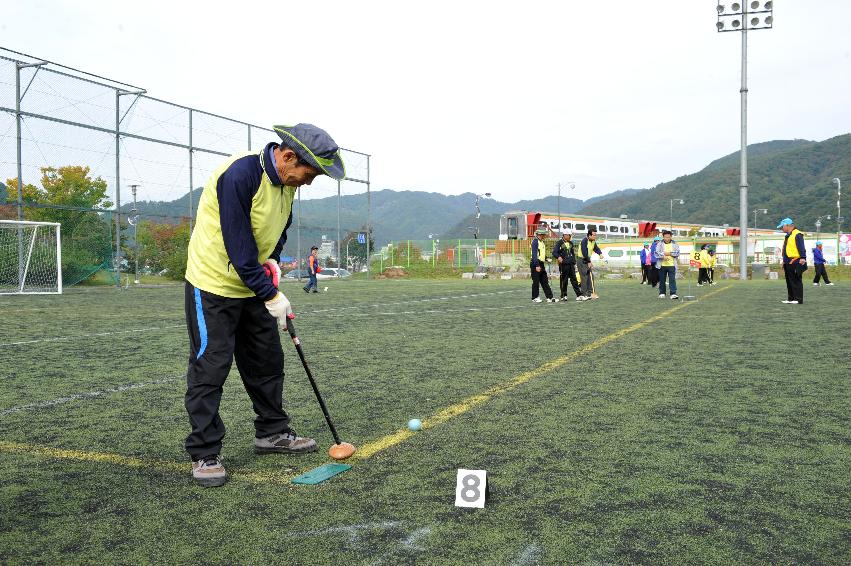 2012년 제28회 용화축전 개회식 의 사진