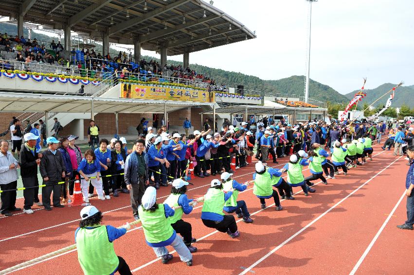 2012년 제28회 용화축전 개회식 의 사진