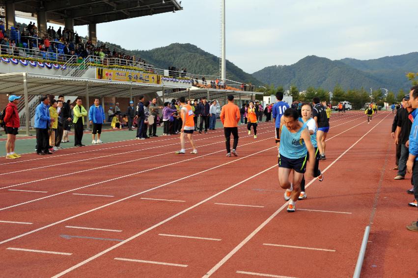 2012년 제28회 용화축전 개회식 의 사진