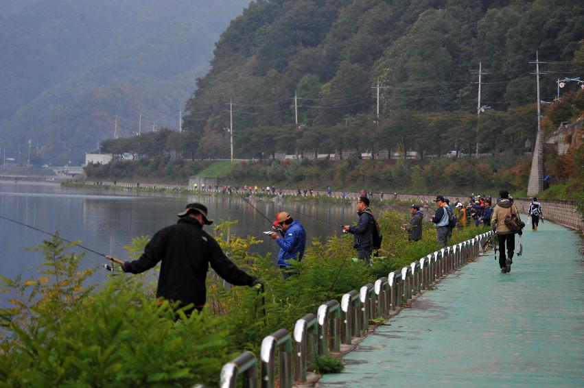 2012년 제5회 화천평화배 전국 배스낚시 대회 의 사진