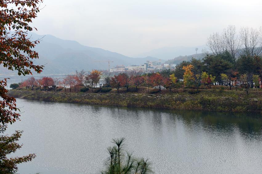 2012년 붕어섬 전경 의 사진