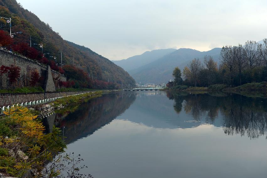 2012년 붕어섬 전경 의 사진