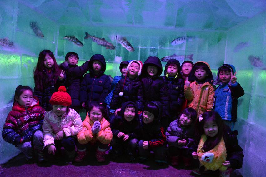2013 화천관내 유치원생 산천어축제장 방문 의 사진