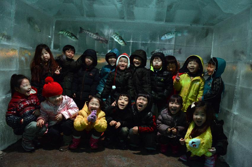 2013 화천관내 유치원생 산천어축제장 방문 의 사진