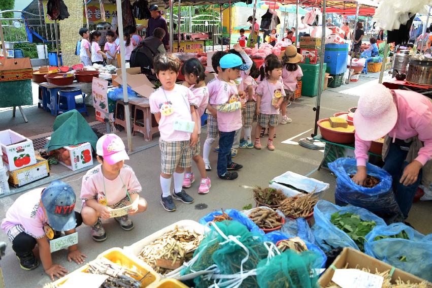 2013 화천읍내 유치원생  향토시장 장보기 행사 사진