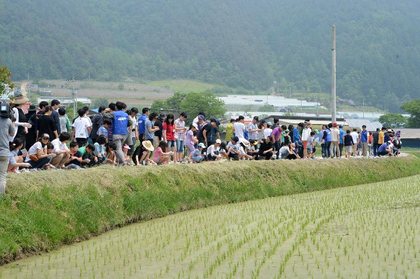 2013 삼성의 날 행사 기념식 의 사진