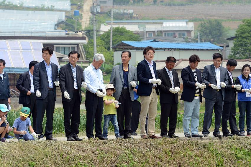 2013 삼성의 날 행사 기념식 의 사진