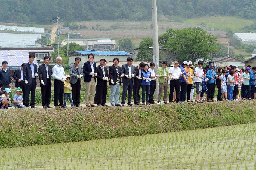 2013 삼성의 날 행사 기념식 의 사진