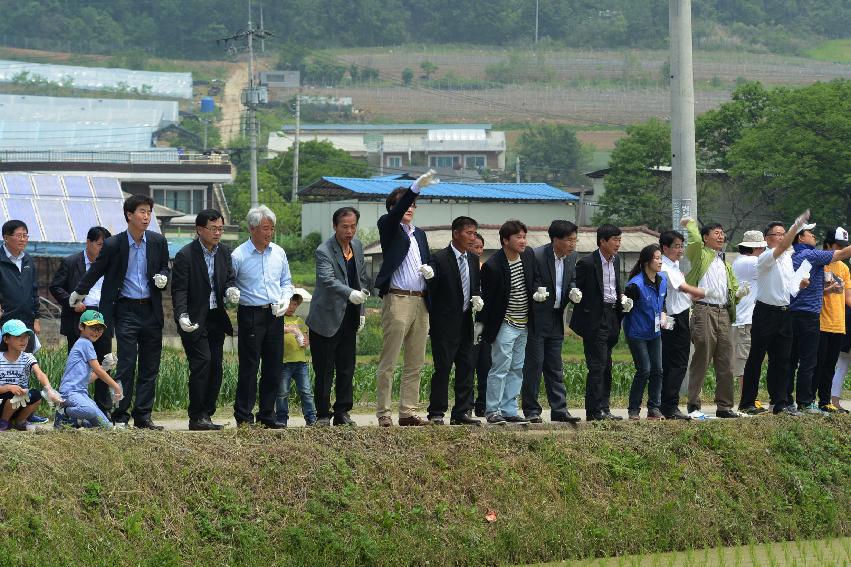 2013 삼성의 날 행사 기념식 의 사진