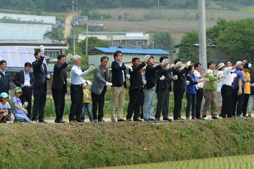 2013 삼성의 날 행사 기념식 의 사진