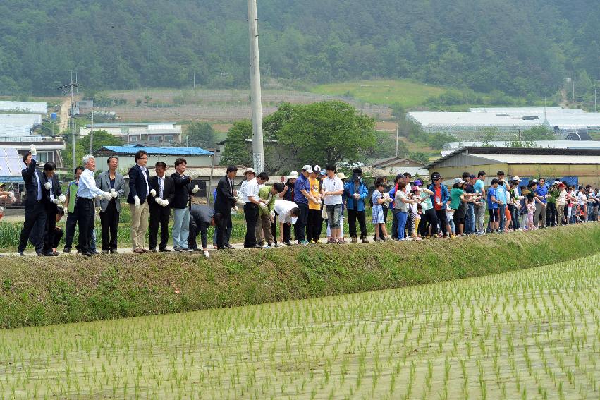 2013 삼성의 날 행사 기념식 의 사진