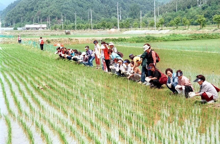 38이북작목반 의 사진