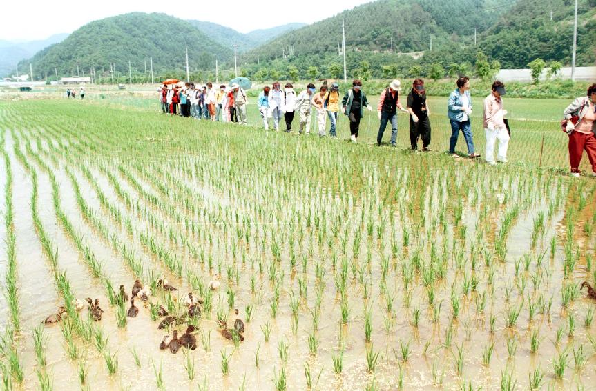 38이북작목반 의 사진