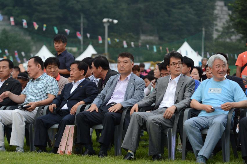 2013 쪽배축제 개막식 의 사진