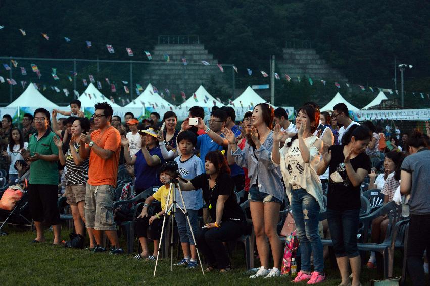 2013 쪽배축제 개막식 의 사진