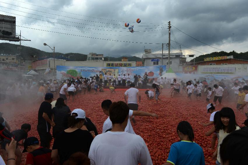 2013년 토마토축제 의 사진