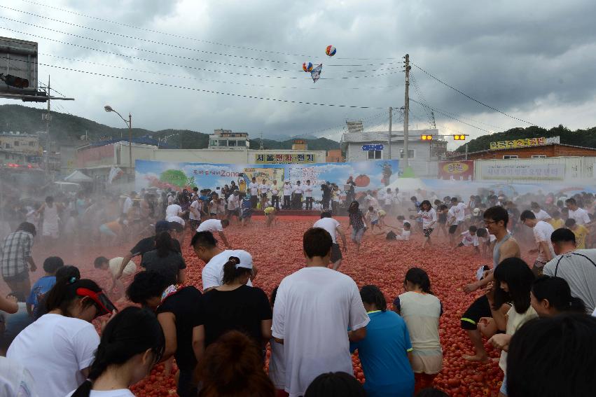 2013년 토마토축제 의 사진