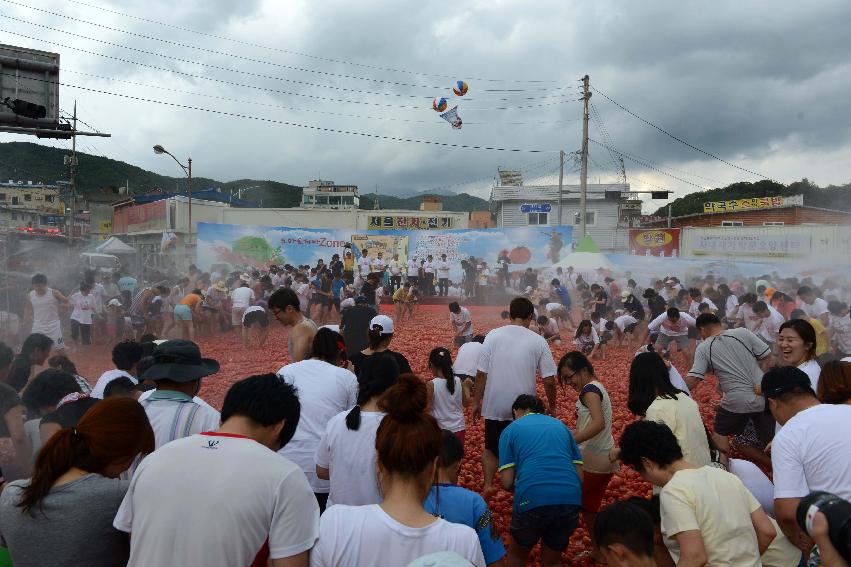 2013년 토마토축제 의 사진