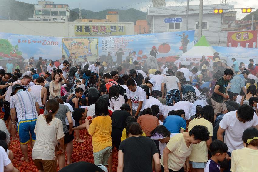 2013년 토마토축제 의 사진