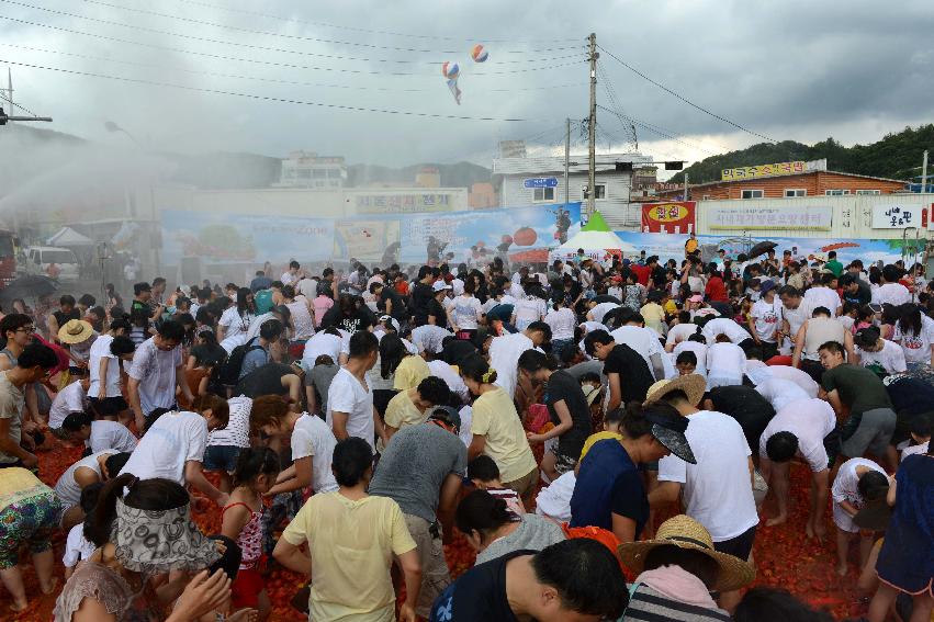 2013년 토마토축제 의 사진