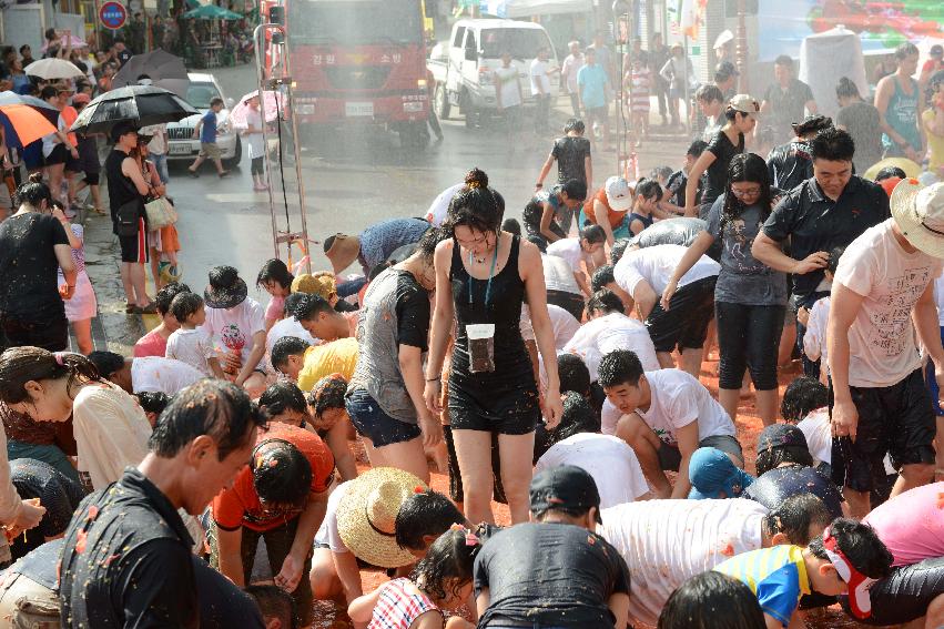 2013년 토마토축제 의 사진