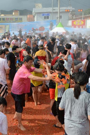 2013년 토마토축제 의 사진