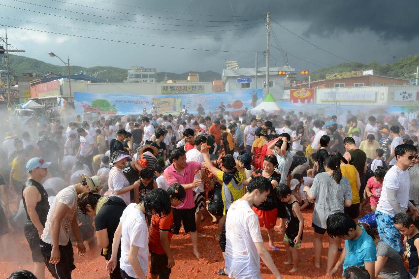 2013년 토마토축제 의 사진