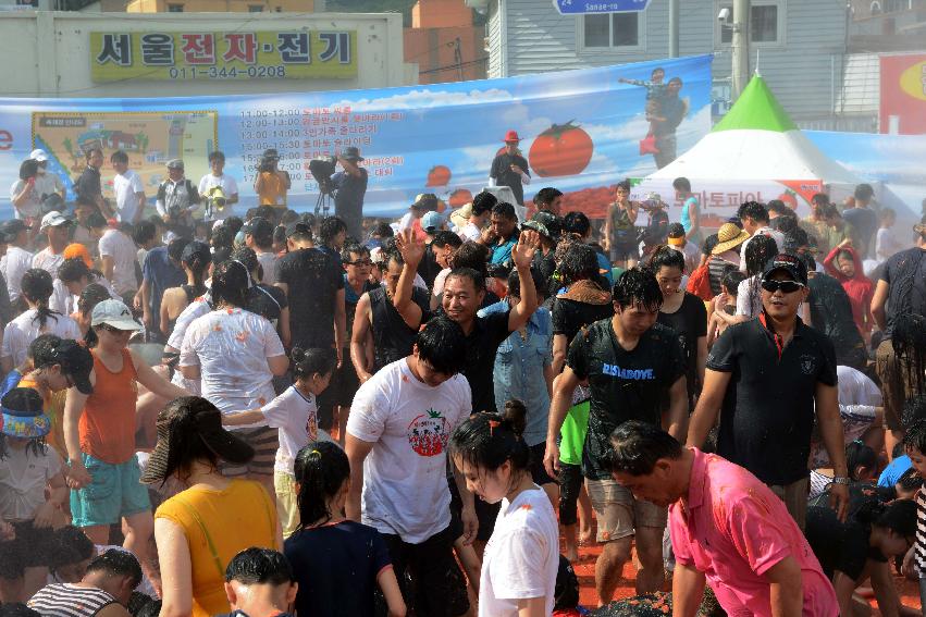 2013년 토마토축제 의 사진