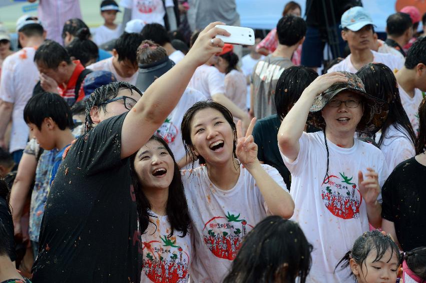 2013년 토마토축제 의 사진