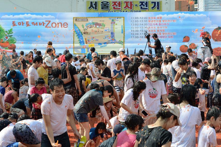 2013년 토마토축제 의 사진