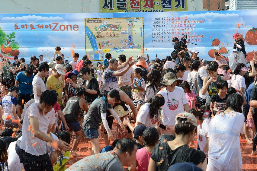 2013년 토마토축제 의 사진